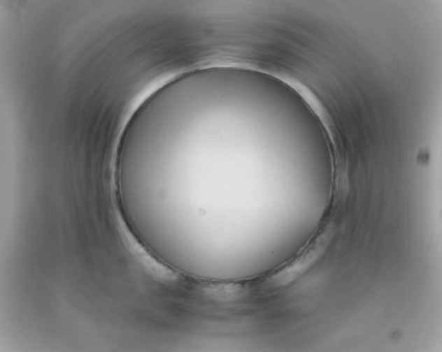 X0000091570957200709051036