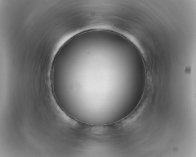 X0000091570959200709051036