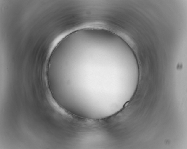 X0000091570960200709051036