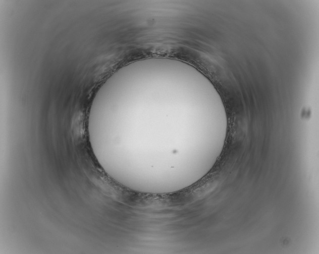 X0000091570962200709051035