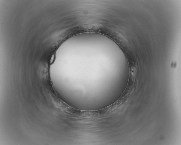 X0000091570963200709051035