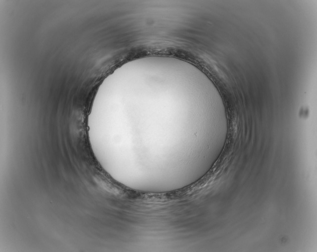 X0000091570964200709051035