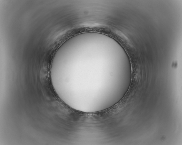 X0000091570966200709051035