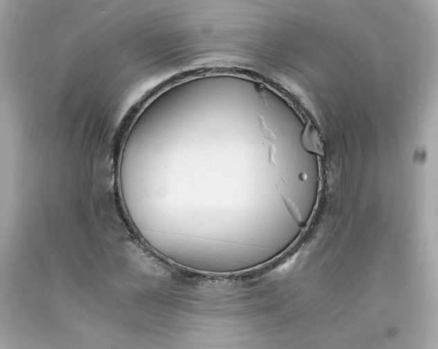 X0000091570973200709051035