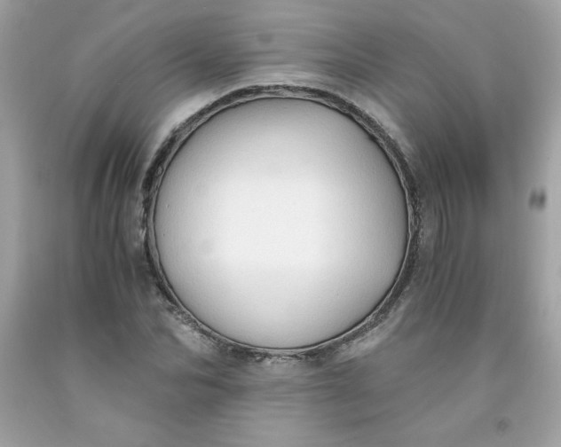 X0000091570974200709051035