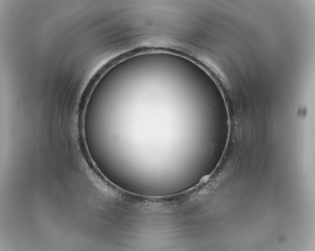 X0000091570976200709051035