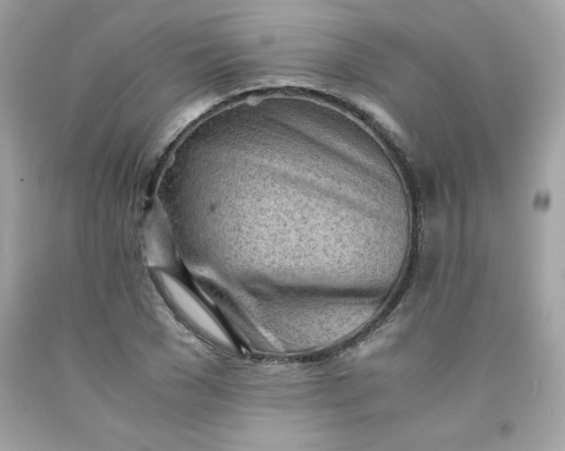 X0000091570977200709051035