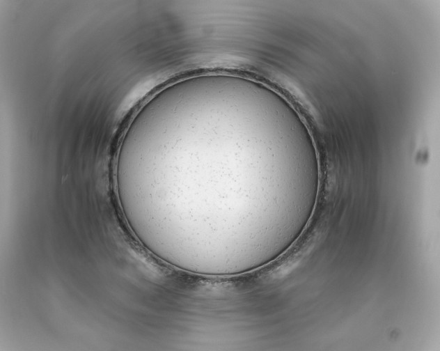 X0000091570978200709051035