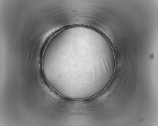X0000091570979200709051035