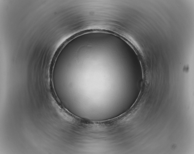 X0000091570980200709051035