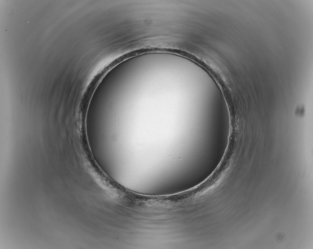 X0000091570981200709051035