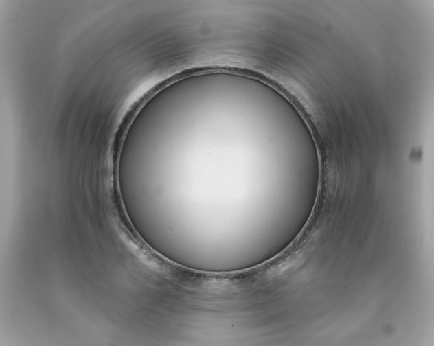 X0000091570982200709051035