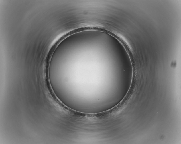 X0000091570983200709051035