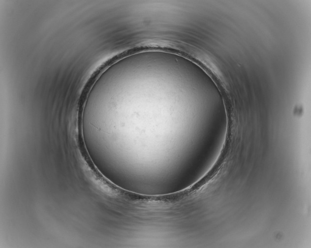 X0000091570984200709051035