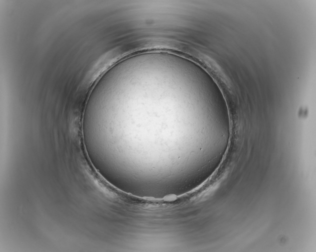 X0000091570985200709051035