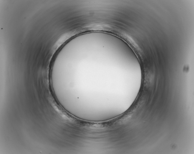 X0000091570986200709051035