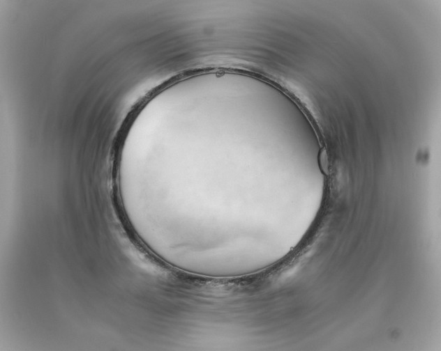X0000091570987200709051035