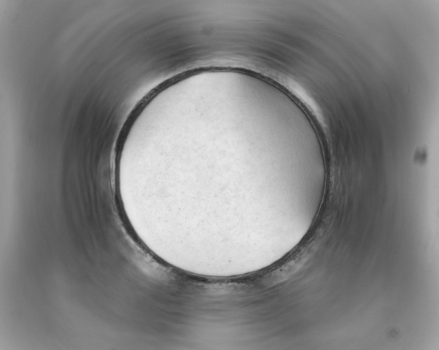 X0000091570988200709051035