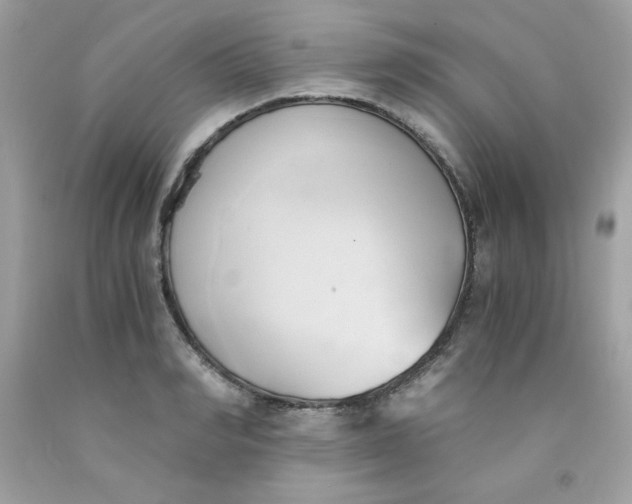 X0000091570990200709051035