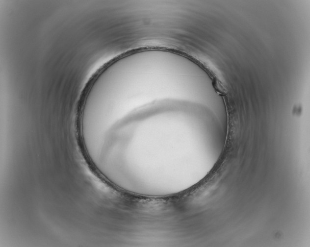 X0000091570991200709051035