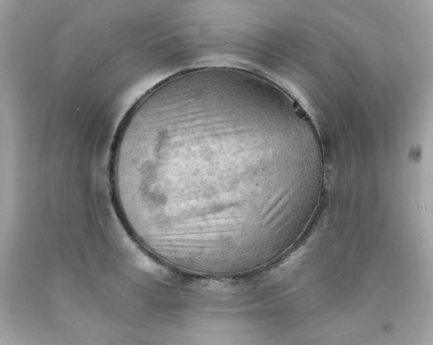 X0000091570995200709051035