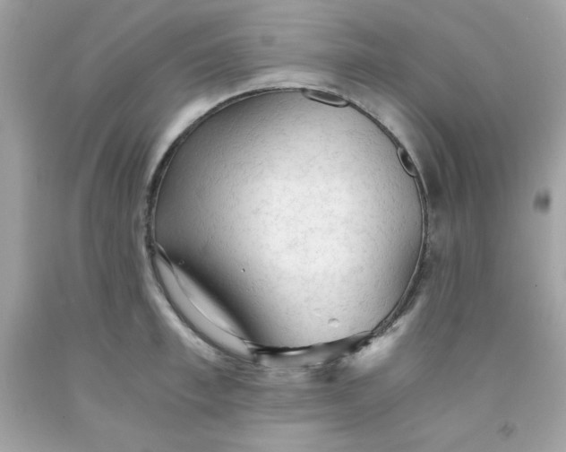 X0000091570997200709051035