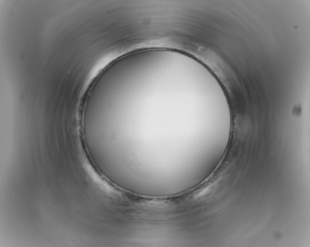 X0000091570998200709051035