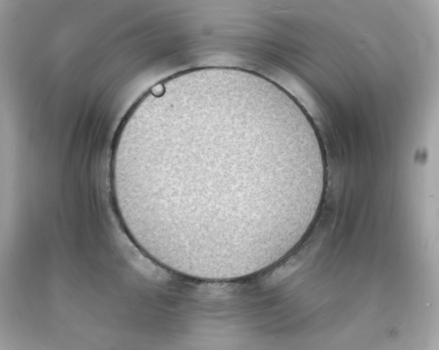 X0000091571000200709051035