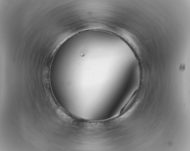 X0000091571001200709051035
