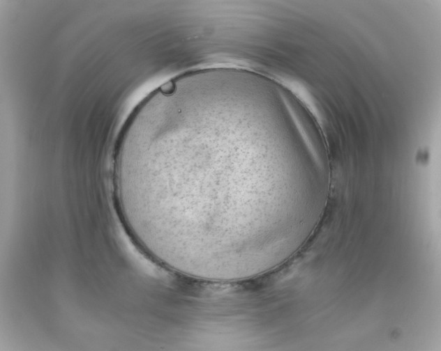 X0000091571003200709051035