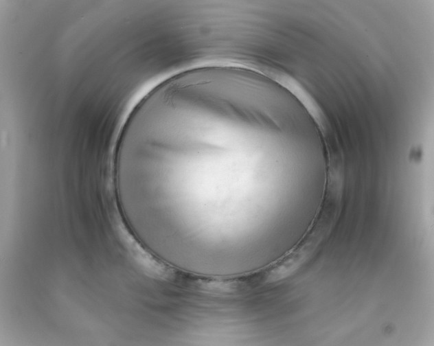 X0000091571004200709051035