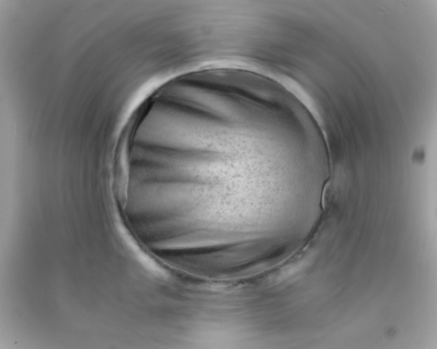 X0000091571005200709051035