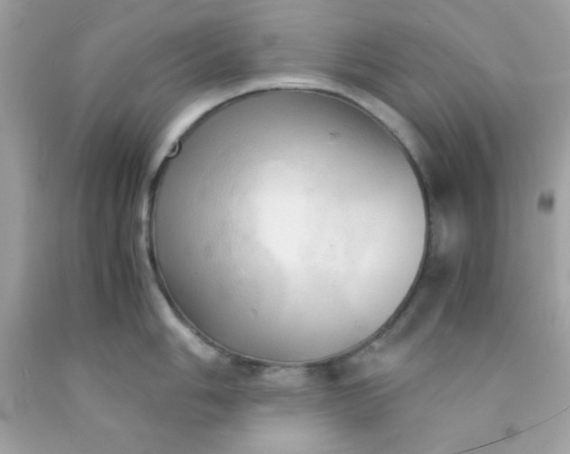 X0000091571006200709051035