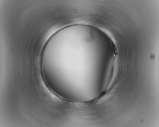 X0000091571007200709051035