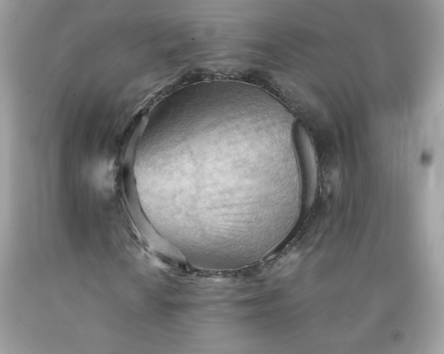 X0000091571010200709051034