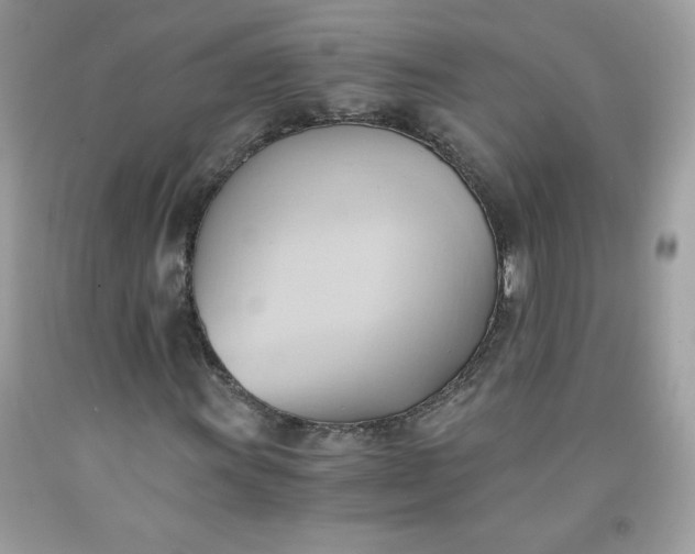 X0000091571011200709051034