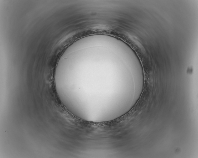 X0000091571015200709051034