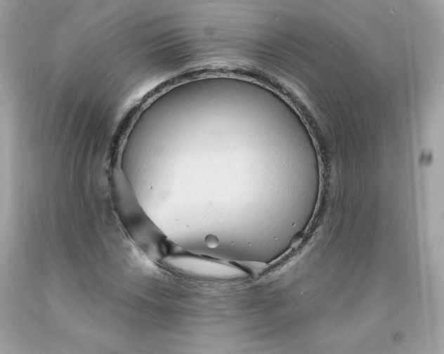 X0000091571018200709051034