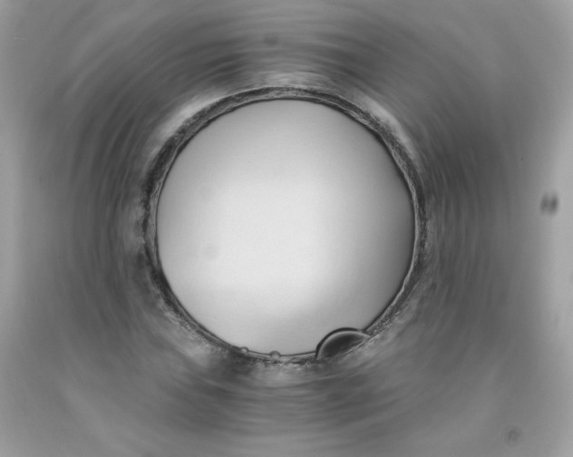 X0000091571019200709051034