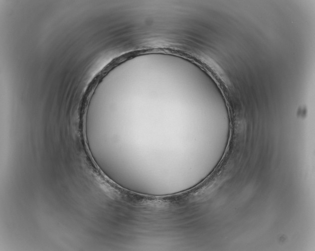 X0000091571023200709051034