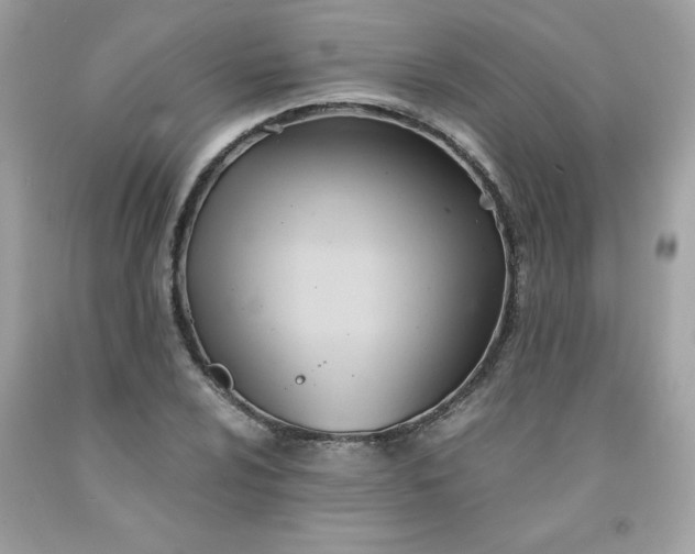 X0000091571024200709051034