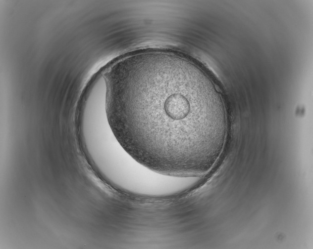 X0000091571026200709051034