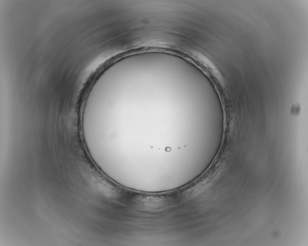 X0000091571027200709051034