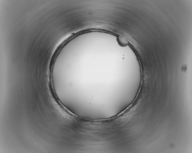 X0000091571028200709051034