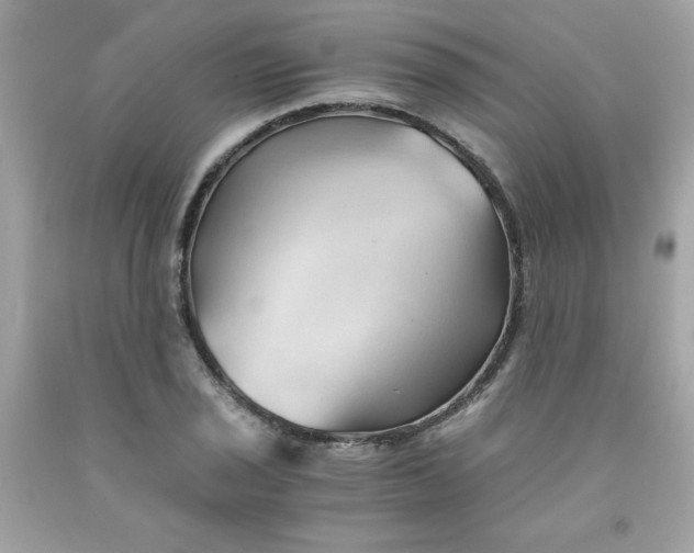 X0000091571029200709051034