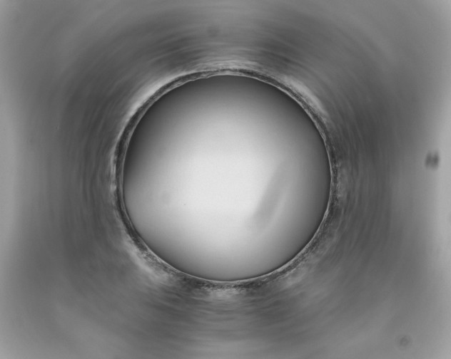 X0000091571031200709051034