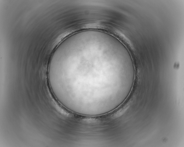 X0000091571033200709051034