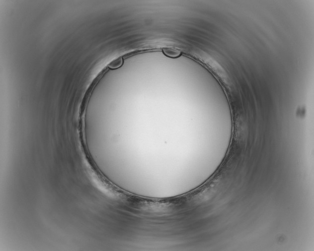 X0000091571039200709051034