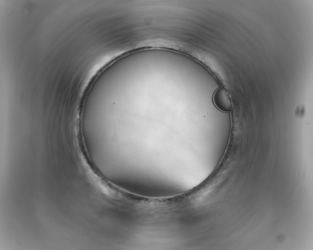 X0000091571040200709051034