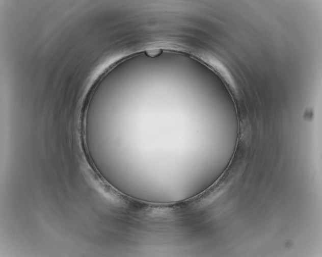 X0000091571043200709051034